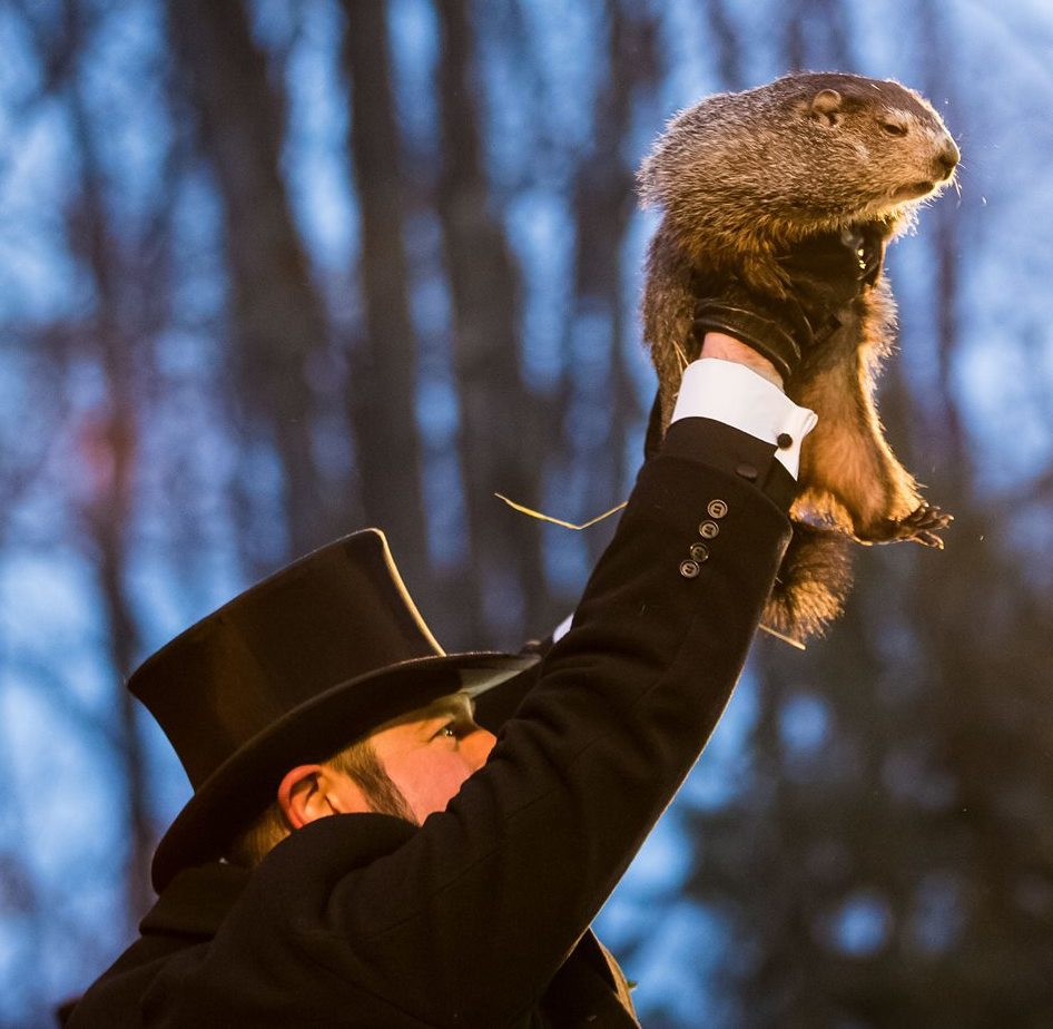 Punxsutawney Phil 2018
