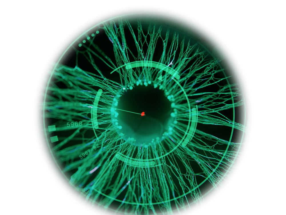 black kite eye transparent