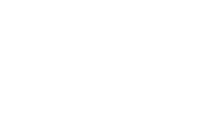 logo navy federal
