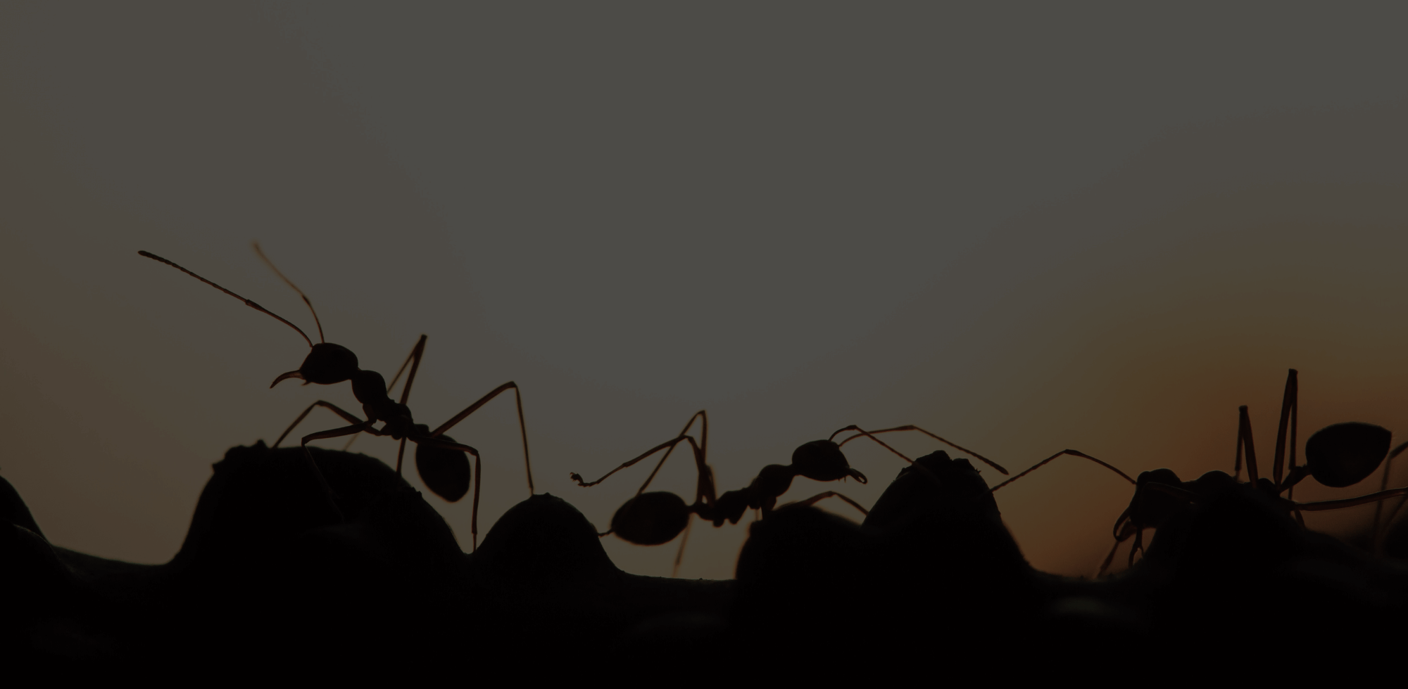 why contexts matter